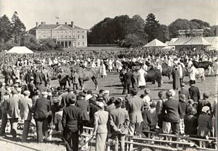 Historic Image of the Suffolk Show